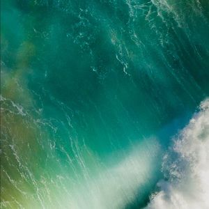 Meet your Posher, Kristina